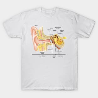 Anatomy of The Ear T-Shirt